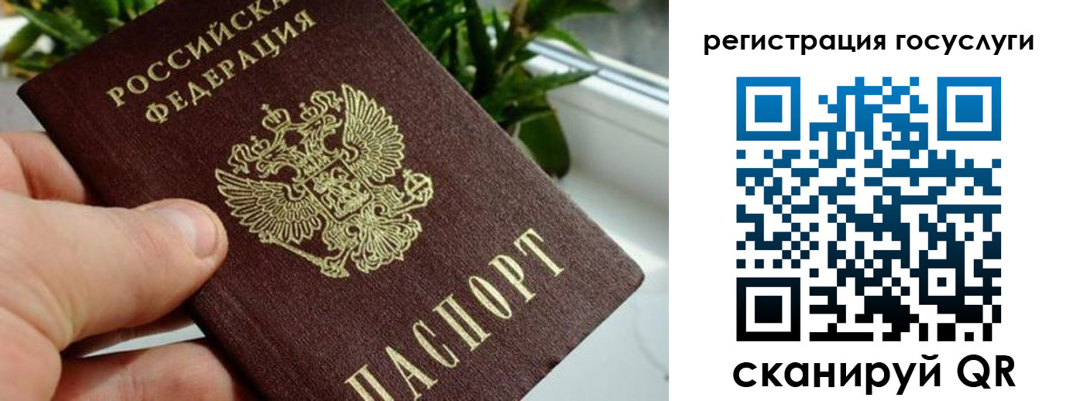 прописка для кредита в Тимашёвске